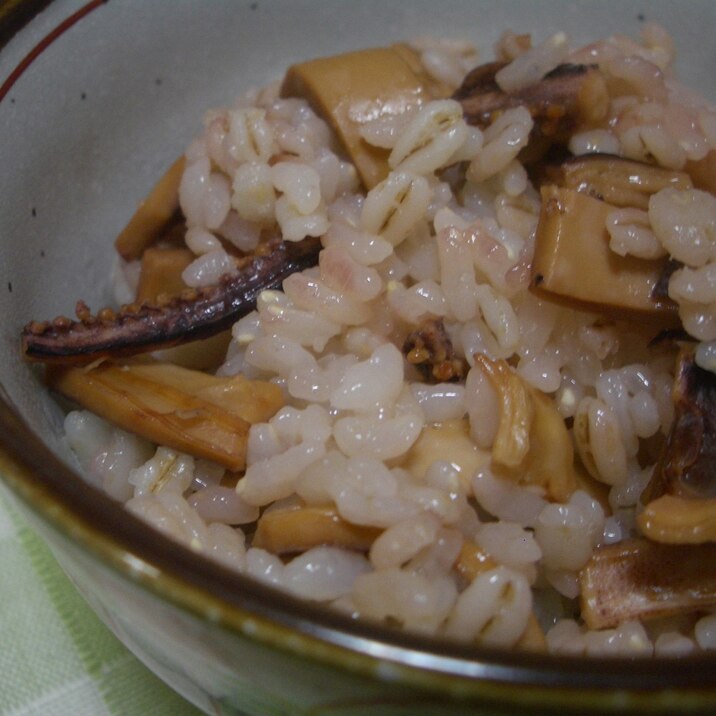 スルメの炊き込み麦ご飯